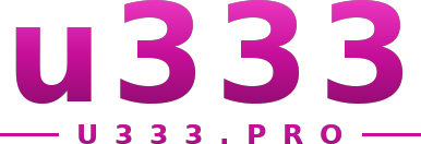 u333 logo